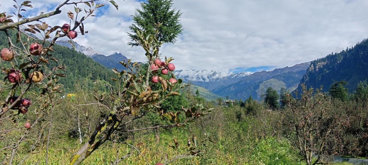 Apple Flower With Balcony And Mountain View Manali  Ngoại thất bức ảnh