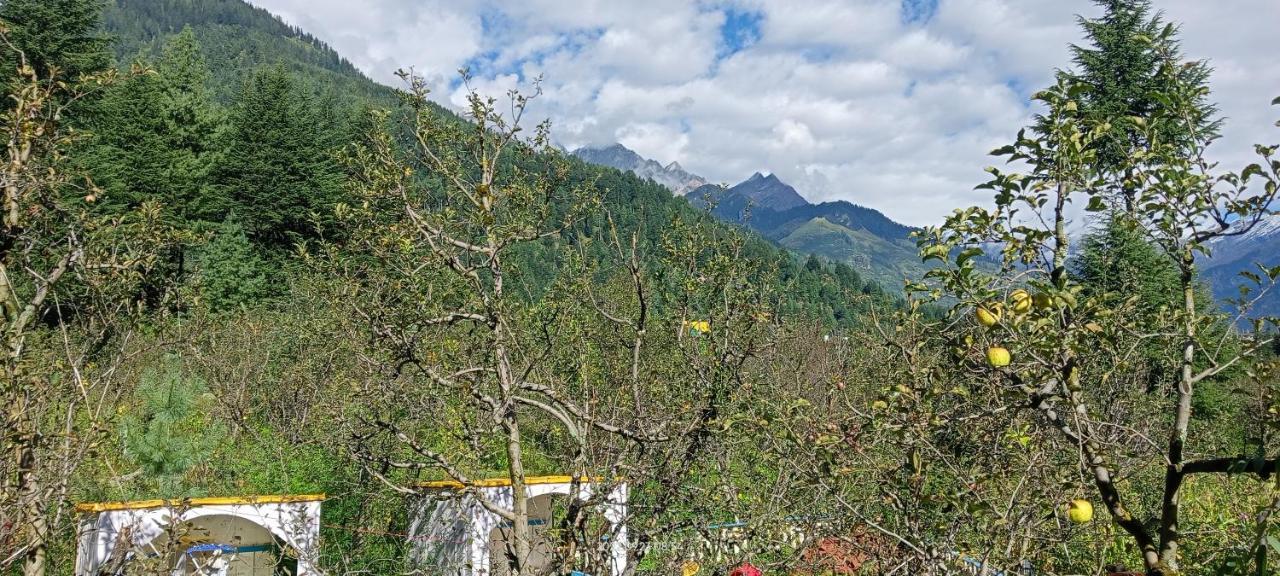 Apple Flower With Balcony And Mountain View Manali  Ngoại thất bức ảnh